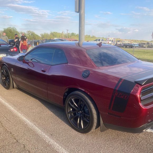 Meet your Posher, Diane - Picture 1 of 1